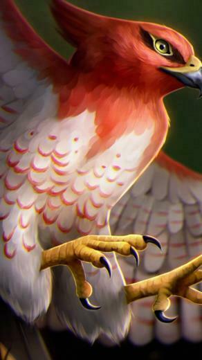 Wallpaper Pokemon Go Birds Talonflame Mobile Nintendo Art