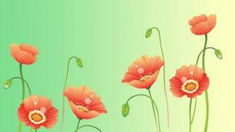 Poppy Flower HD Wallpaper