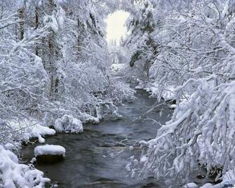 Wallpaper Swedish Winter X Desktop