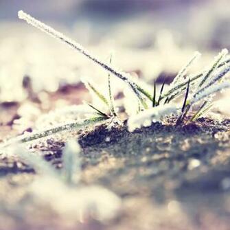 Wallpaper Of The Week Snow Frost