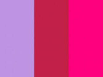 Bright Lavender Maroon And Pink Three Color Background
