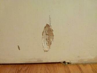 Prime Dull Primer Apply Ceiling Paint Directly To The Tiles Doc