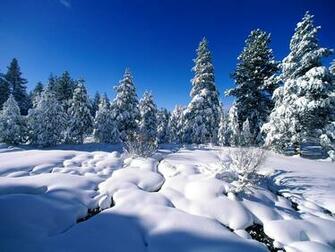 Christmas Winter Wallpaper Grasscloth