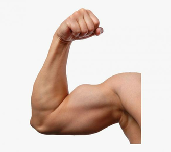 Png Image Purepng Cc Library Man Arm Transparent Background