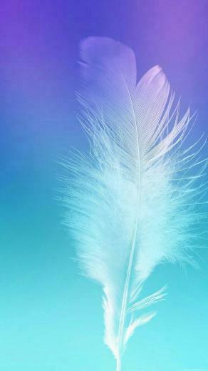 I Find Feathers Wallpaper In Galaxy Samsung