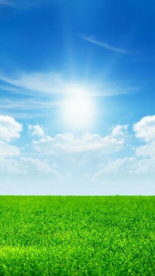 Sunny Bright Day Wallpaper iPhone