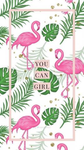 Wallpaper iPhone Flamingo