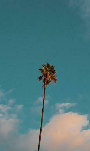 New 4k High Quality iPhone Wallpaper Background For Do