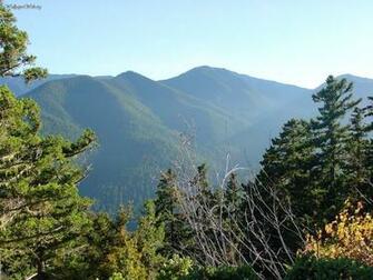 Pictures Of Hurricane Ridge Olympic National Park Washington State