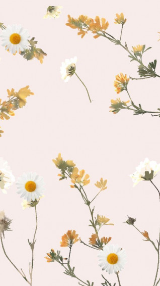 Daises And Flowers Lockscreenwallpaper Roses Nature