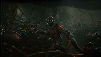 Ant Man With Ants X Close