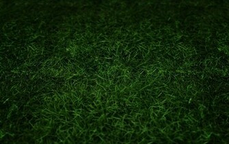 Football Field Grass Wallpaper Green