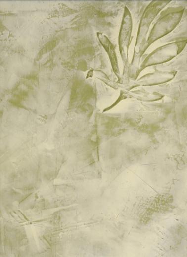 Venetian Plaster Bloomfield Michigan