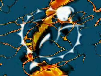 Net Miami Dolphins Wallpaper Of The Day
