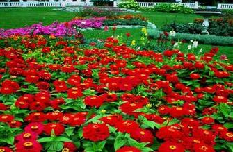 Url Smscs Photo Beautiful Html
