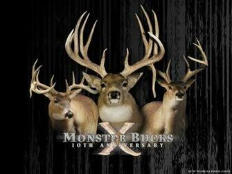 Wv Monster Bucks Pictures Image Photos Photobucket