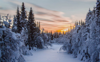 The Sunset In Winter Mac Wallpaper Allmacwallpaper