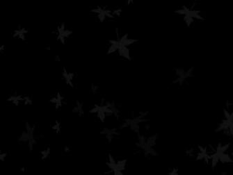 Plain Black Background High Resolution Wallpaper HDblackwallpaper