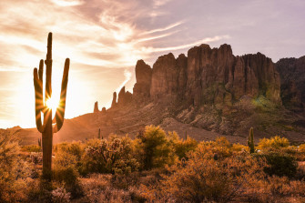 Desert Wallpaper