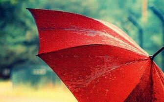 Umbrella HD Wallpaper