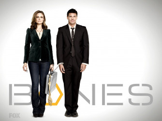 Bones Wallpaper For Desktop