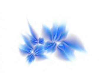 HD Flower Wallpaper 3d