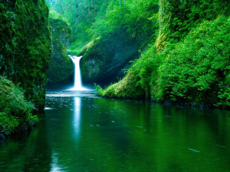 Wallpaper HD For Nature
