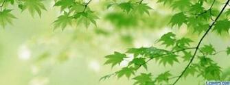 Beautiful Japan Wallpaper Cover Timeline Banner For Fb