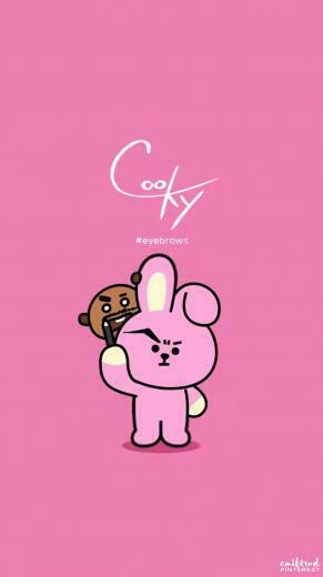 Bts Wallpaper Bt21 Cooky E