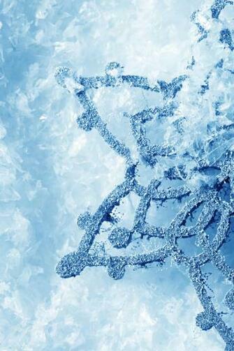 Ice And Snow iPhone Wallpaper HD
