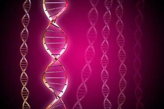 Dna Molecule Stock Photos Rgbstock Image