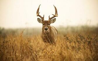 HD Realtree Camo Wallpaper Net
