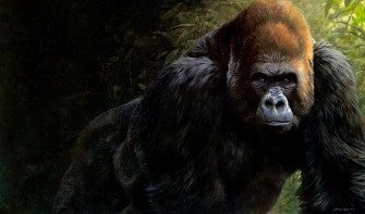 Gorilla Tag Wallpaper HD Desktop