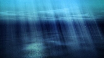 Under Sea Wallpaper