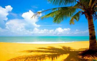 Beaches