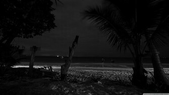 Beach At Night Wallpaper Pixel Exotic
