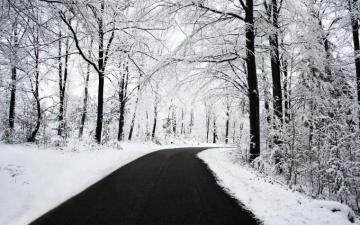 Snow Winter Wallpaper Grasscloth
