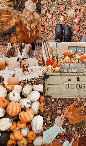 Autumn Collage Wallpaper Brown Fab Mood Wedding