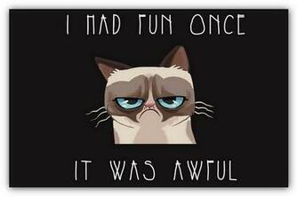 Funny Meme Wallpaper Ginva