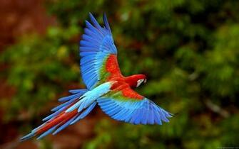 HD Wallpaper Widescreen Full Desktop