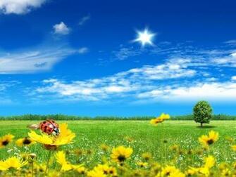 The Height Of Summer Wallpaper Pictures