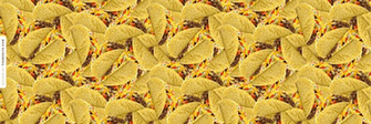 Taco Background Tacos B
