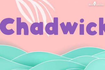 Chadwick Name Meaning And Origin Wallpaper