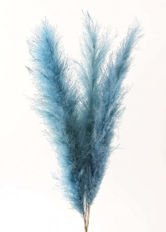 Pampas Grass Background Wallpaper