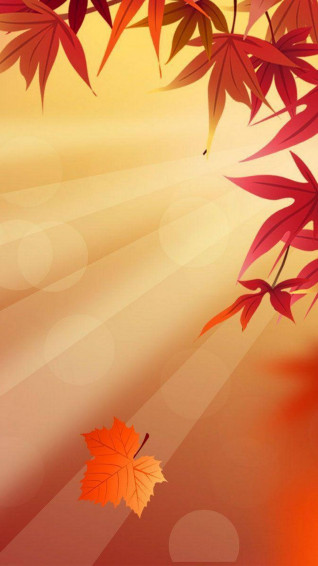 Cute Fall Phone X Wallpaper