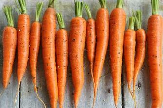 Carrots HD Wallpaper