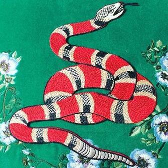 Gucci And This Is The Snake Vision For Cushion I Am