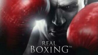 Boxing Bag Wallpaper Real