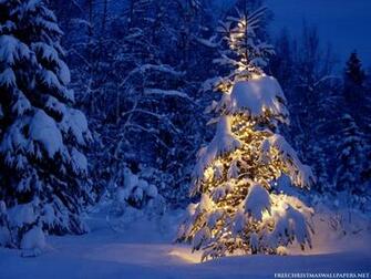 High Definition Photo And Wallpaper Christmas Screensavers