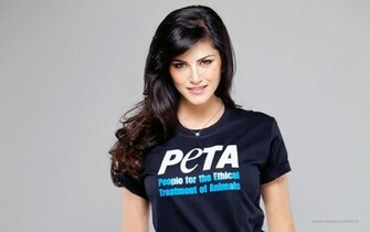 Sunny Leone Peta Wallpaper HD